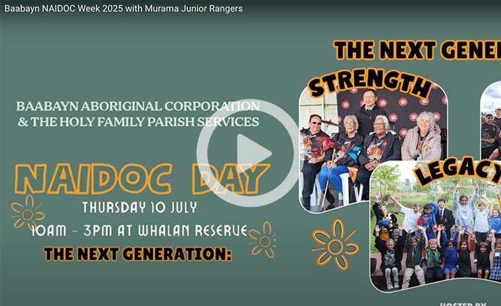 Image is not available